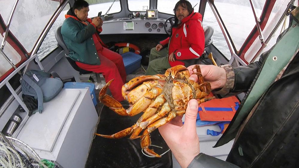Gord Moody holding a spawned out female Dungeness Crab.