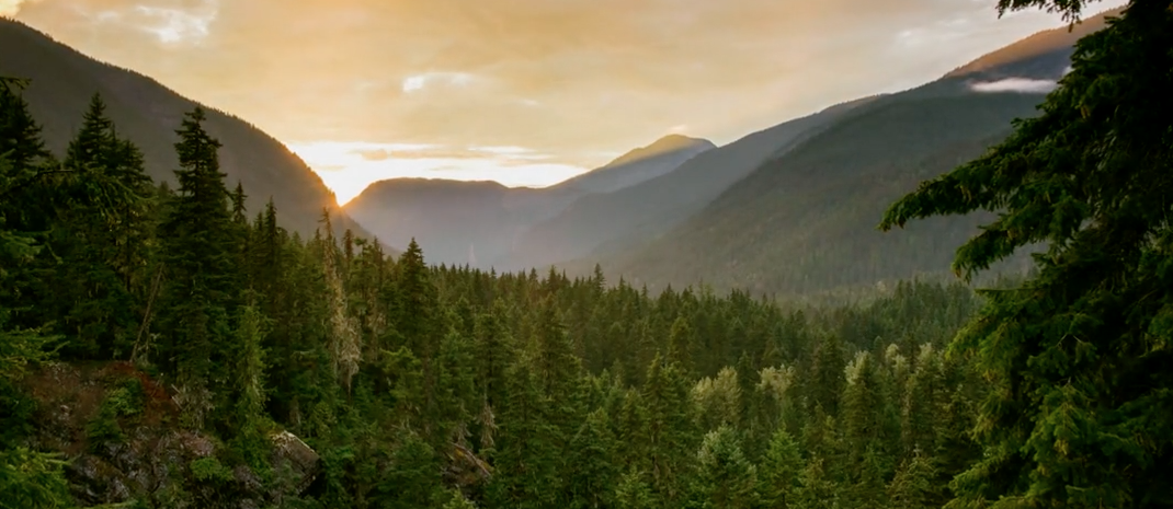 sunrise over the forest and mountains