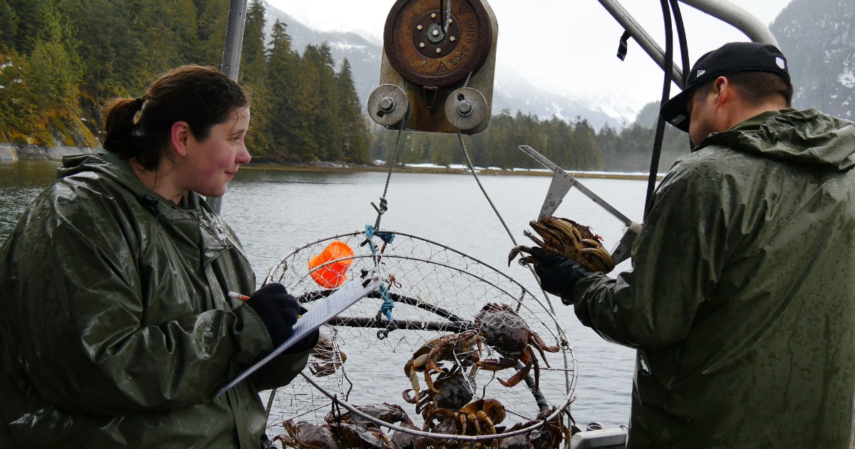 Ernie (right) and Sandie (left) are on a boat and sitting on either side of a metal crab trap full of crabs. Both are wearing large, dark green rain coats. Sandie is holding a clipboard. The water behind them looks cold and grey, and there are evergreens in the distance.