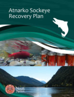 Cover page of the Atnarko Sockeye Recovery Plan