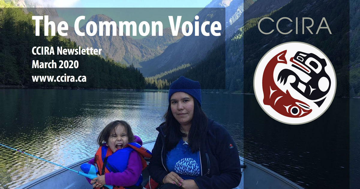 CCIRA Common Voice newsletter, edition 11
