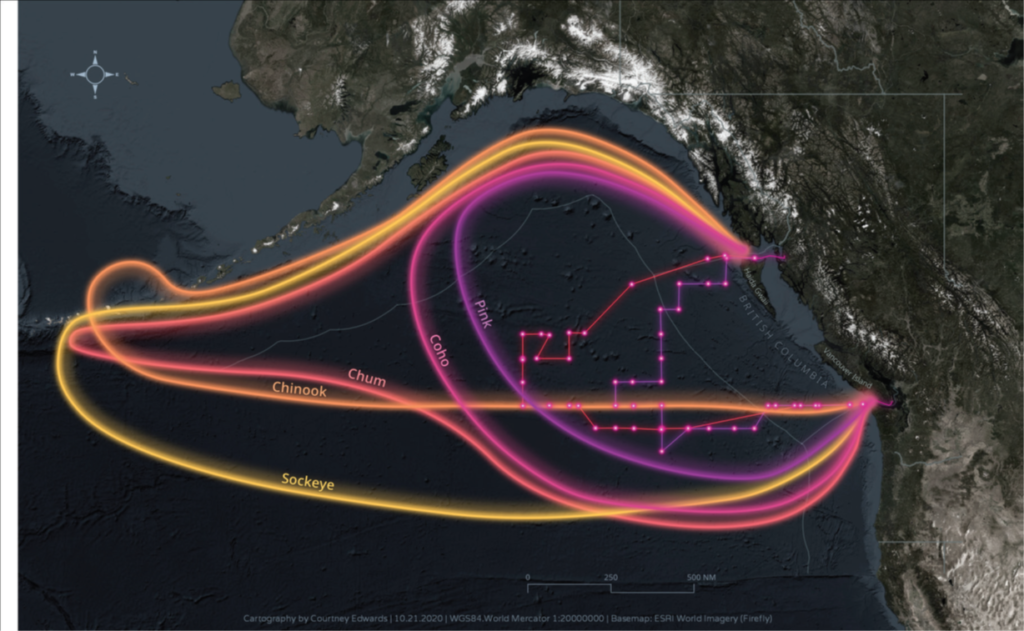 MaPP Marine Planning Portal | CCIRA