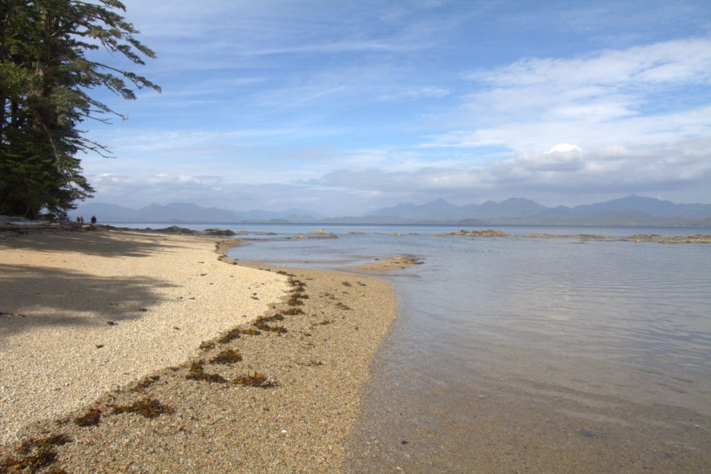 A sandy beach on BC's Central Coast.